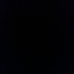 Meet your Posher, Savannah